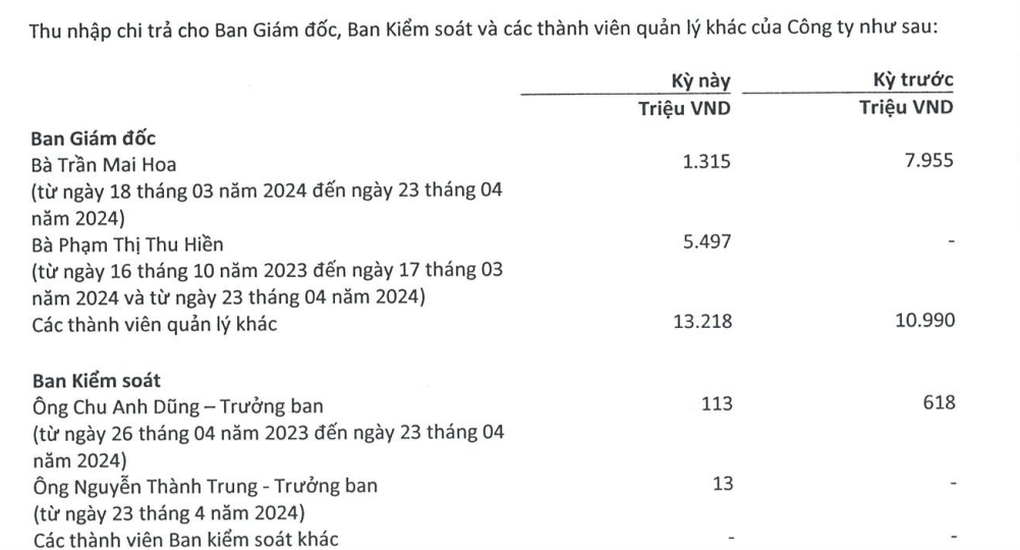 Thù lao, thu nhập những cánh tay phải tỷ phú Phạm Nhật Vượng gây bất ngờ - 2